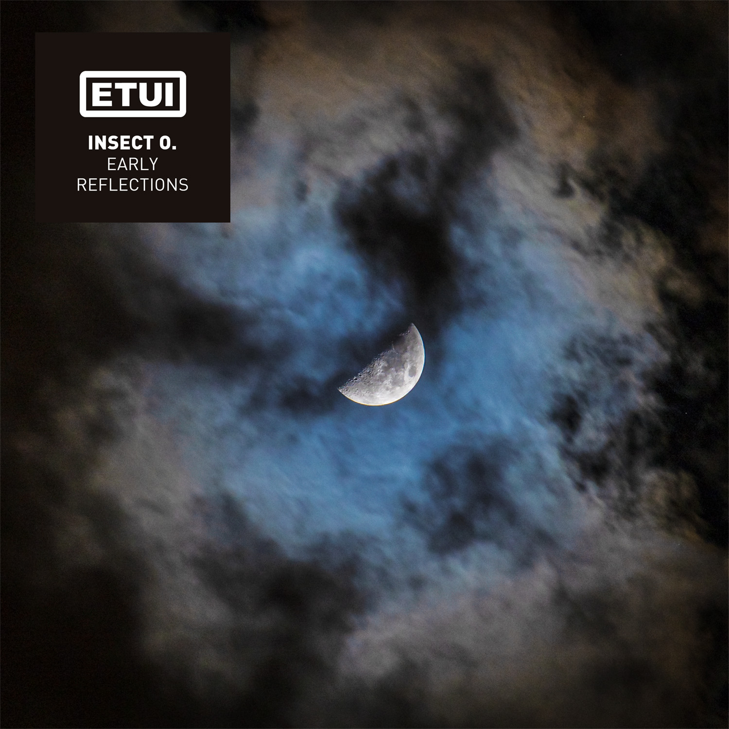 Artwork for Insect O. - Early Reflections